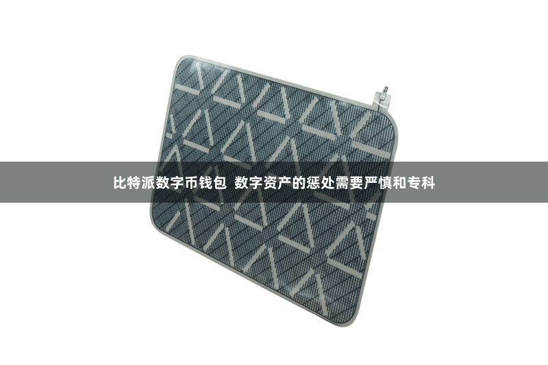 比特派数字币钱包 数字资产的惩处需要严慎和专科
