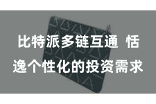 比特派多链互通  恬逸个性化的投资需求