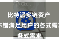 比特派多链资产  不错满足用户的各式需求