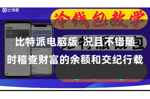 比特派电脑版  况且不错随时稽查财富的余额和交纪行载