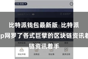 比特派钱包最新版  比特派App网罗了各式巨擘的区块链资讯着手