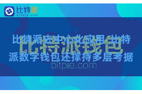 比特派去中心化应用  比特派数字钱包还撑持多层考据