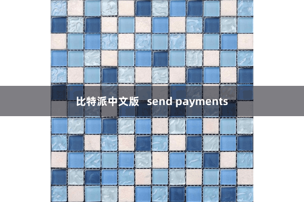比特派中文版   send payments