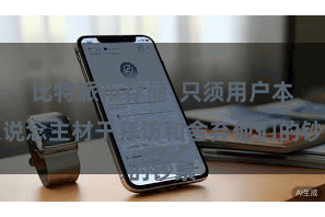 比特派币存储  只须用户本东说念主材干拜访和舍弃他们的钞票