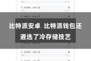 比特派安卓  比特派钱包还遴选了冷存储技艺
